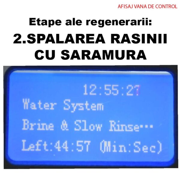 SPALAREA RASINII CU SARAMURA2 01